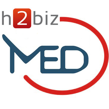 La rete estera di H2biz (2015)